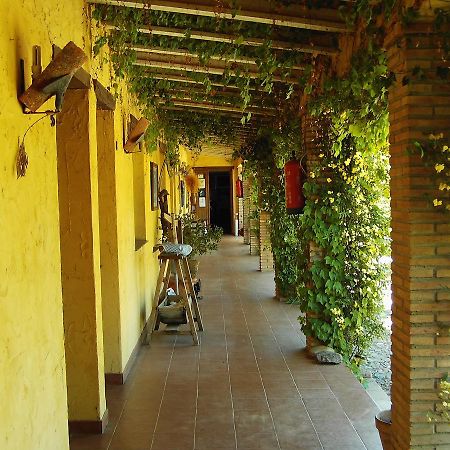 Hotel Rural La Cimbarra Aldeaquemada Exteriér fotografie